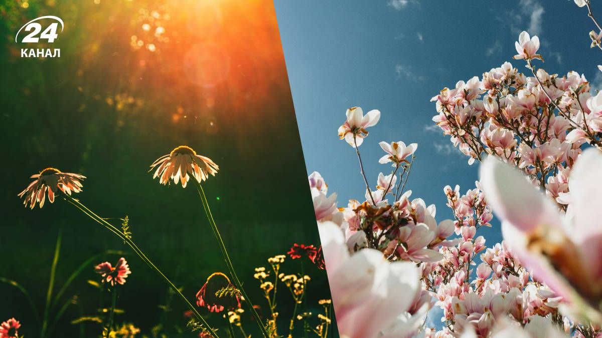 Погода зміниться з початком наступного тижня