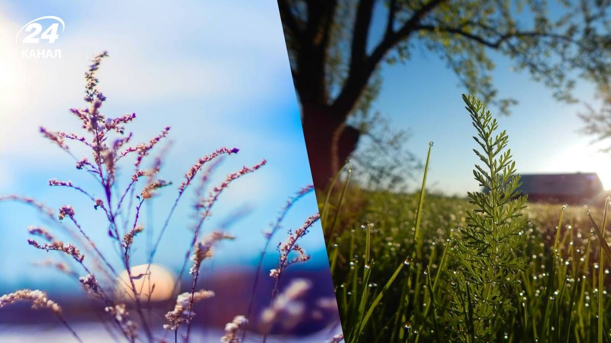 Улучшение погоды в Украине