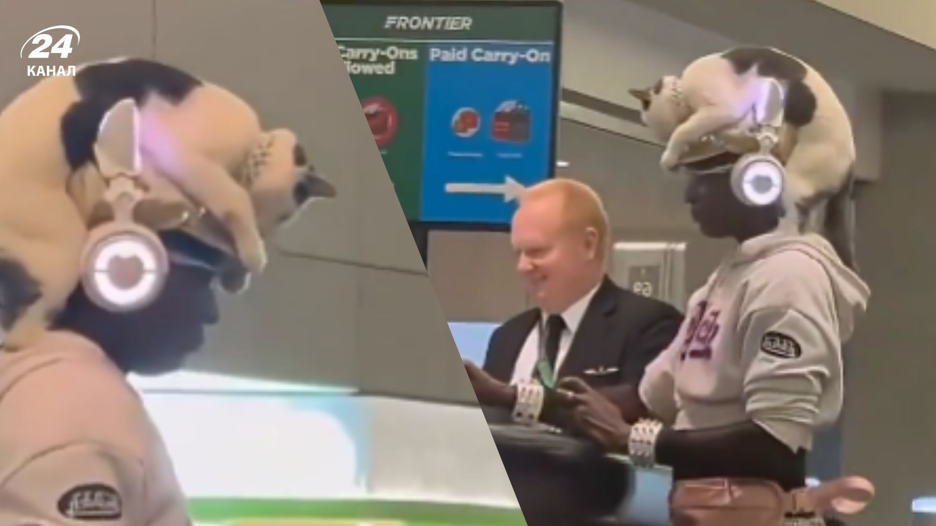 З котом на голові: жінка в чудернацькому капелюсі з'явилася в аеропорті - Pets