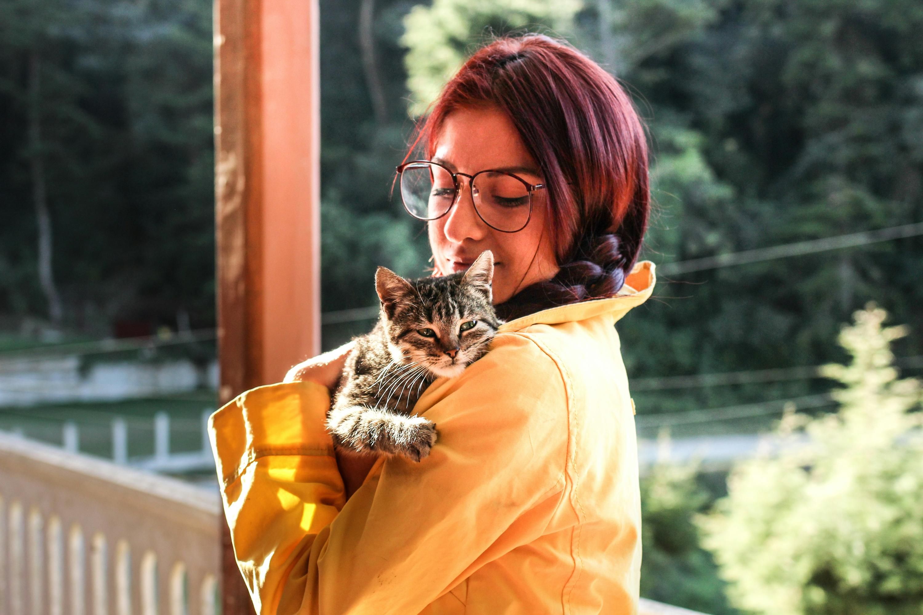 Чи можуть коти забути своїх господарів Чи можуть коти забути своїх господарів