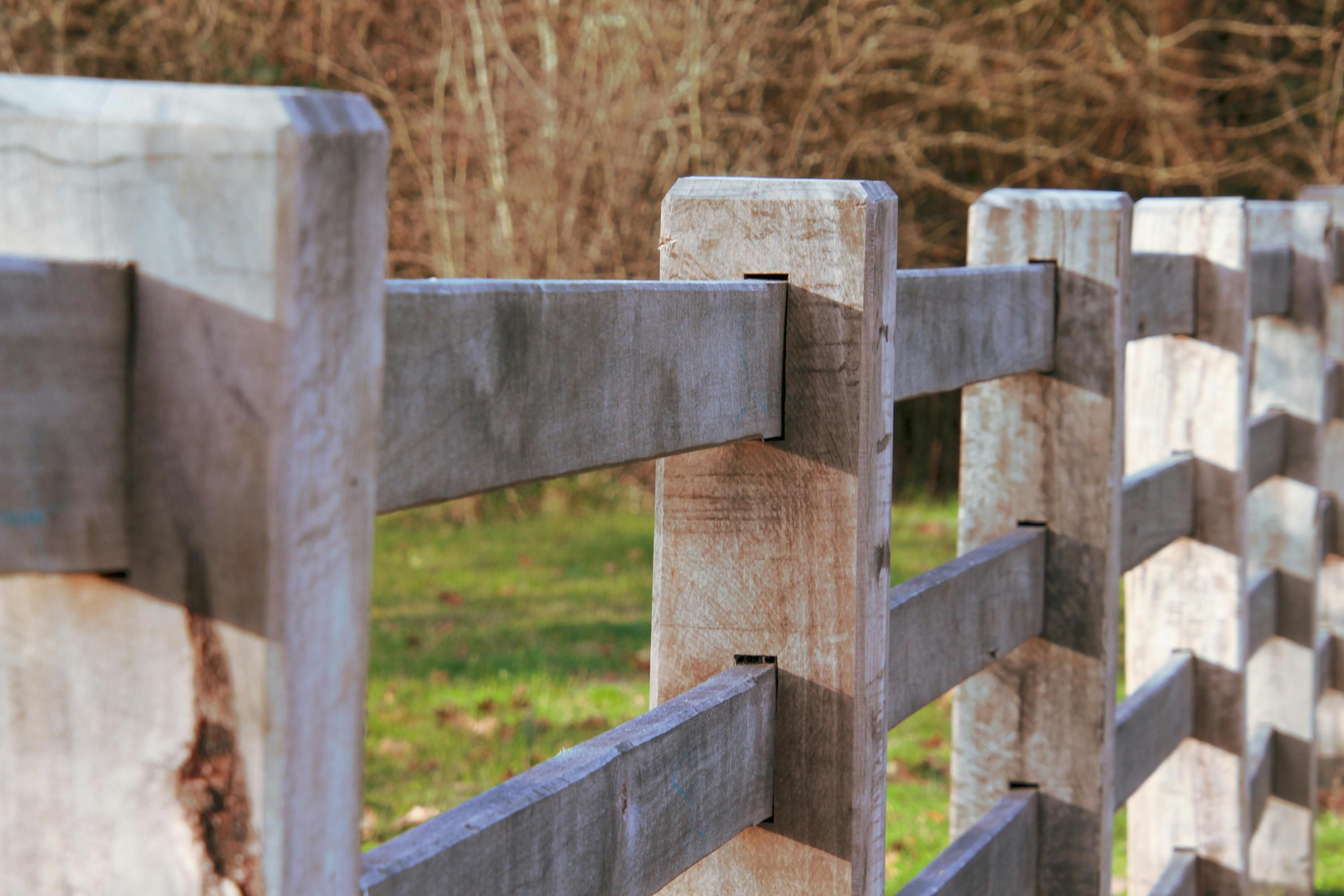 Паркан між сусідами: хто має ставити й платити за огорожу у 2026 році - Агро 24