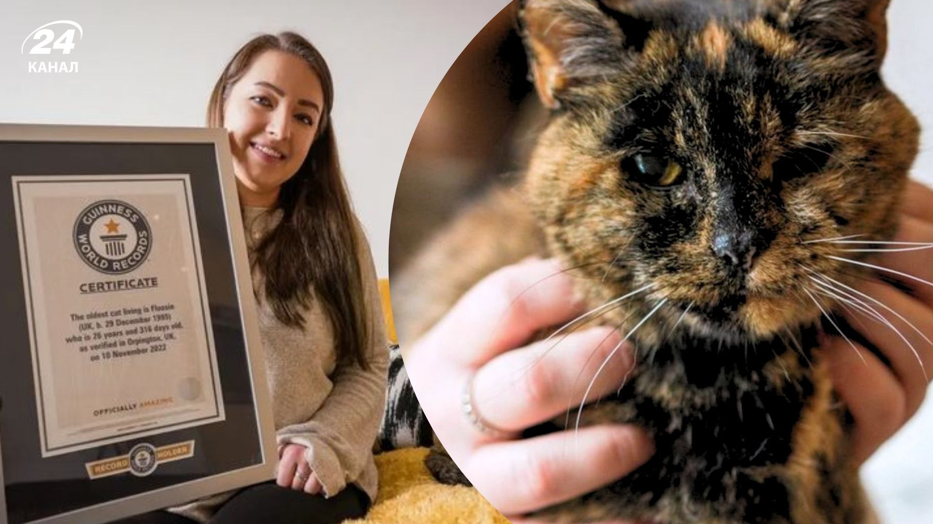 Найстаріша кішка у світі Найстаріша кішка у світі