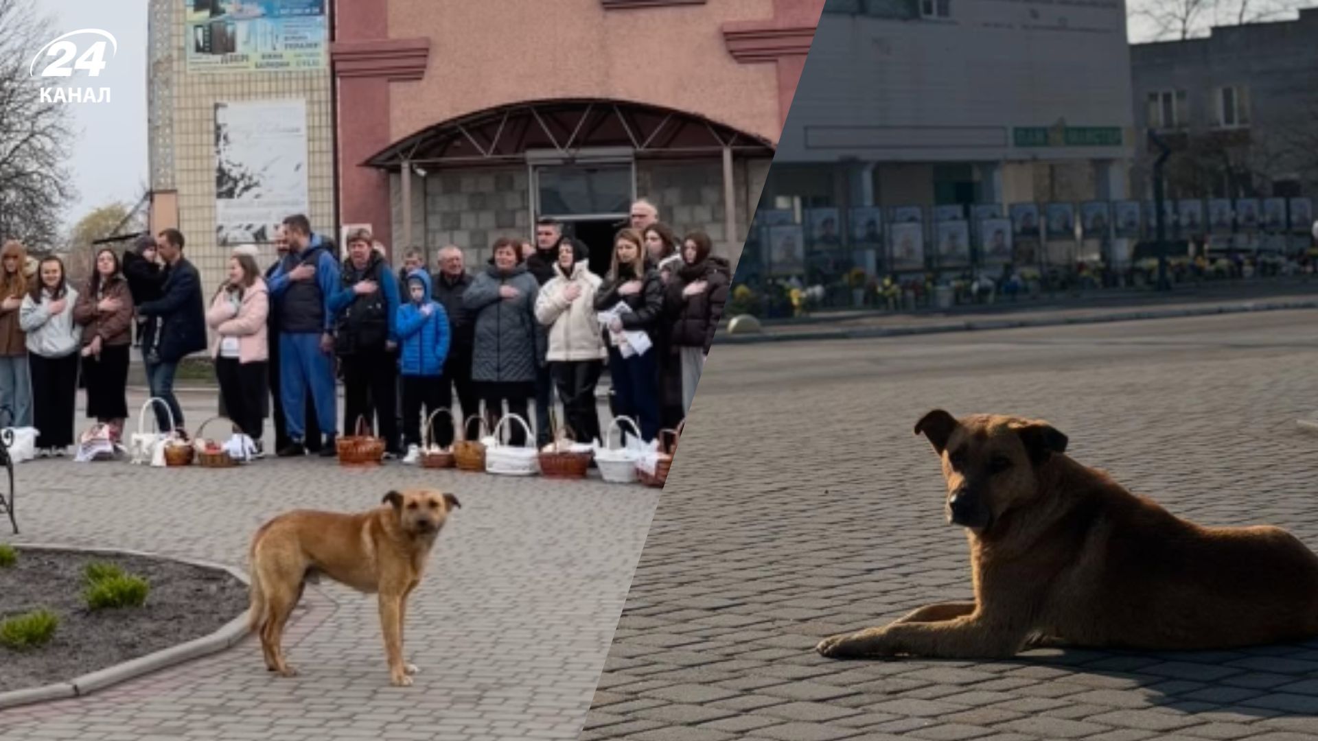 В Чоповичах собака подпевает гимну В Чоповичах собака подпевает гимну