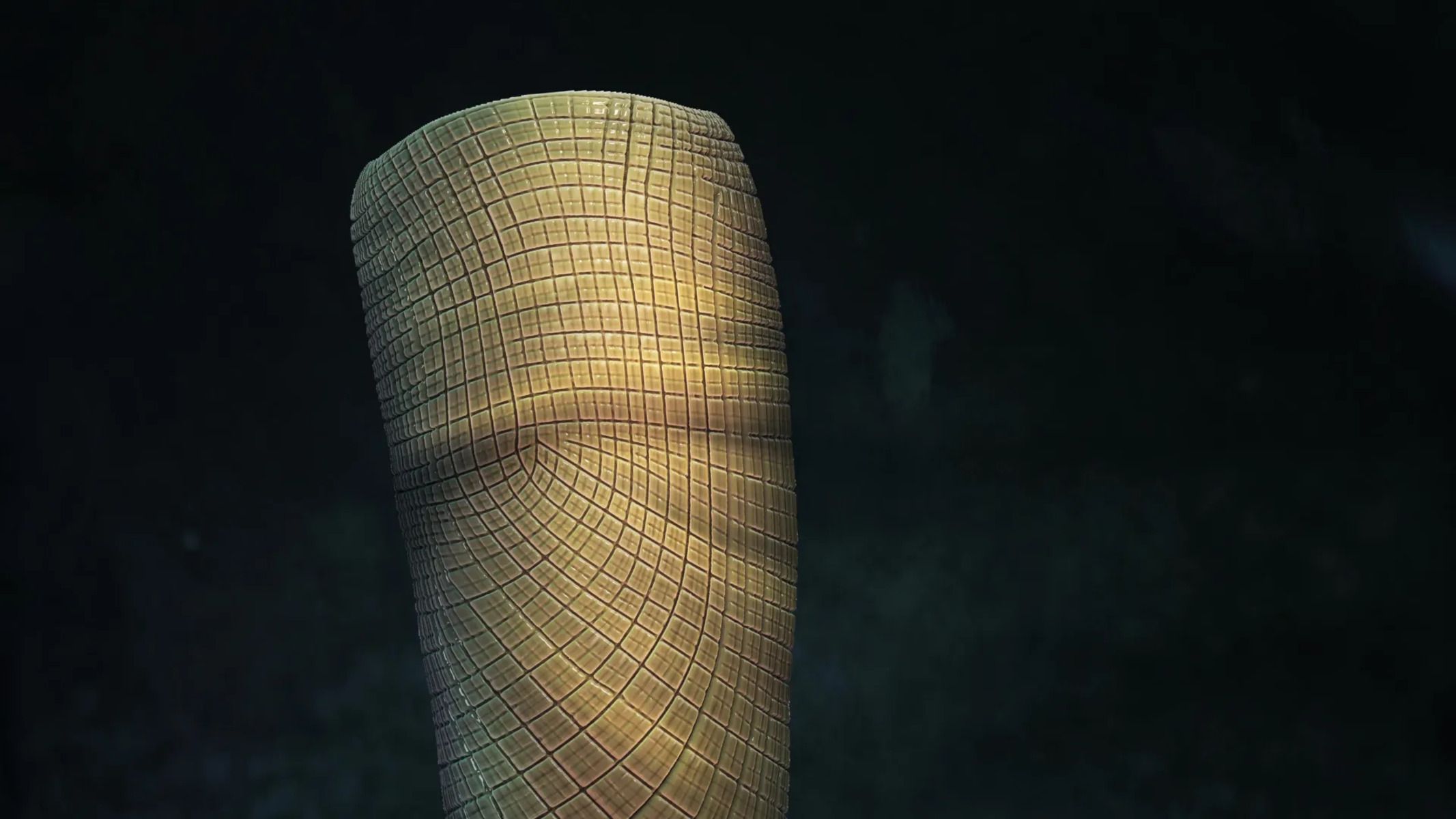 Древняя губка объяснила исчезновение первых животных из летописи Земли Древняя губка объяснила исчезновение первых животных из летописи Земли