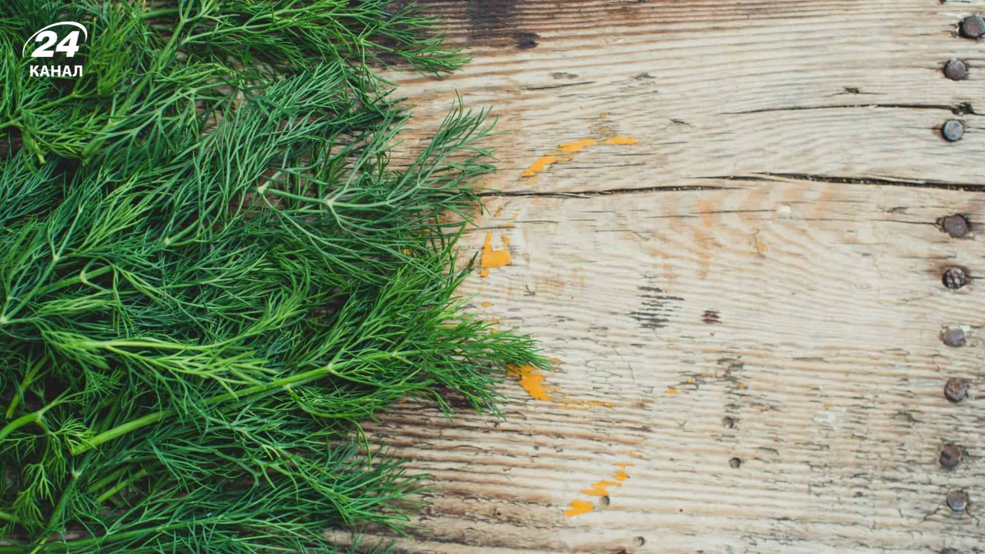 Кріп оздоровлює ґрунт Кріп оздоровлює ґрунт