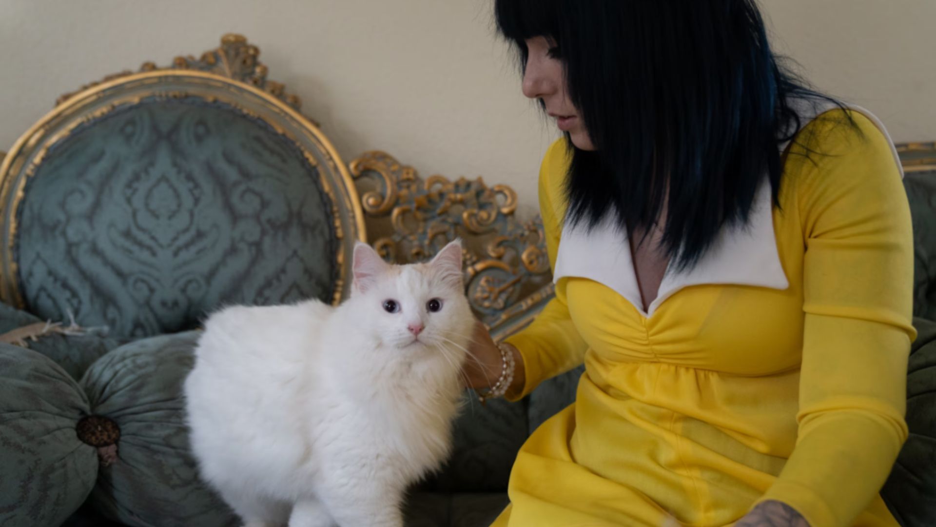 Чи можна клонувати домашню тварину