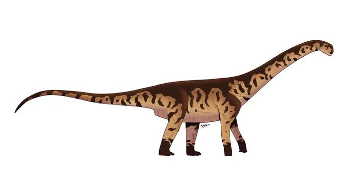 Малюнок Bicharracosaurus dionidei Малюнок Bicharracosaurus dionidei