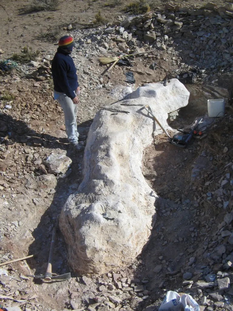 Новий вид динозавра Bicharracosaurus dionidei Новий вид динозавра Bicharracosaurus dionidei