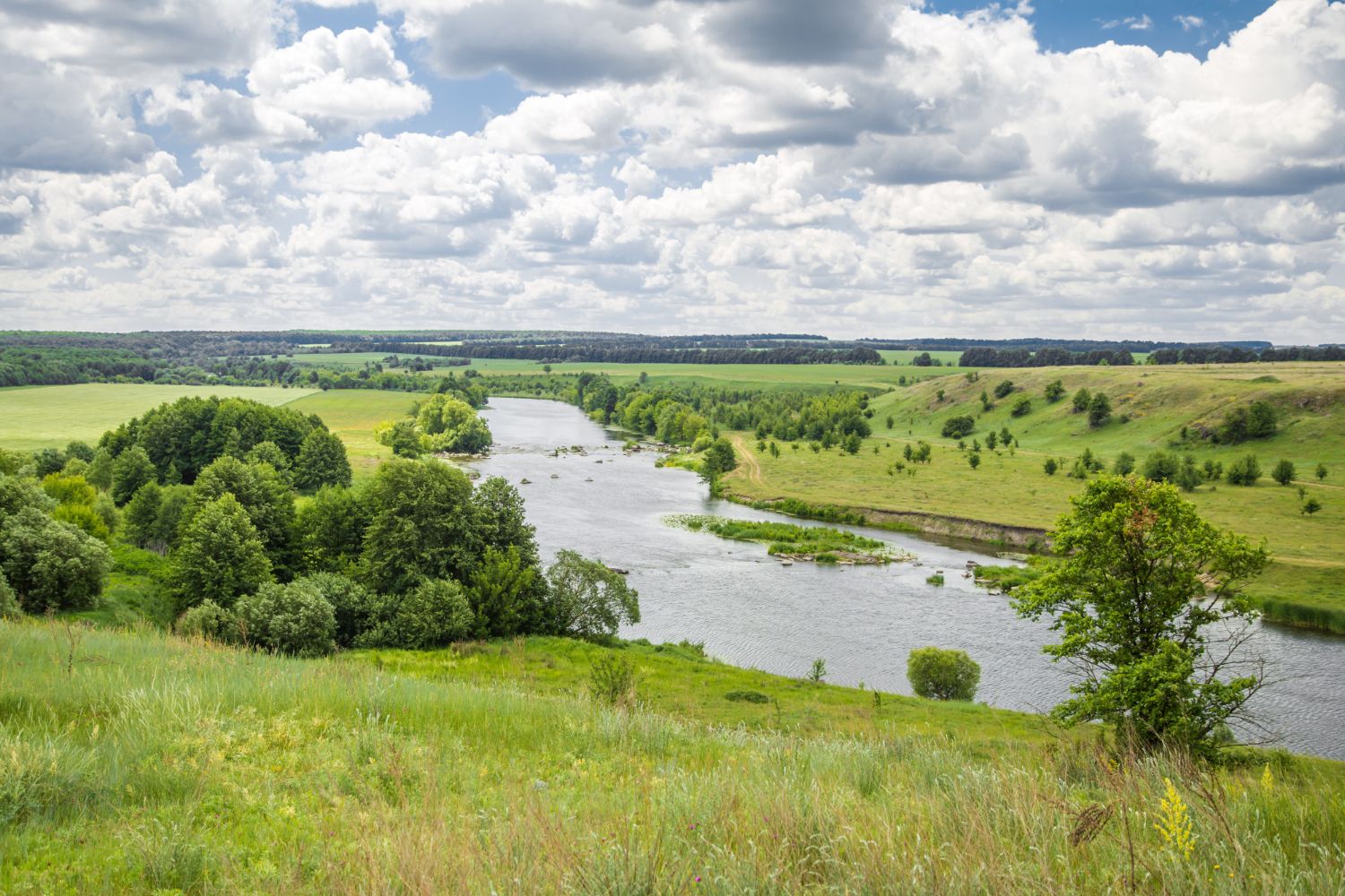 Земля біля річки Земля біля річки