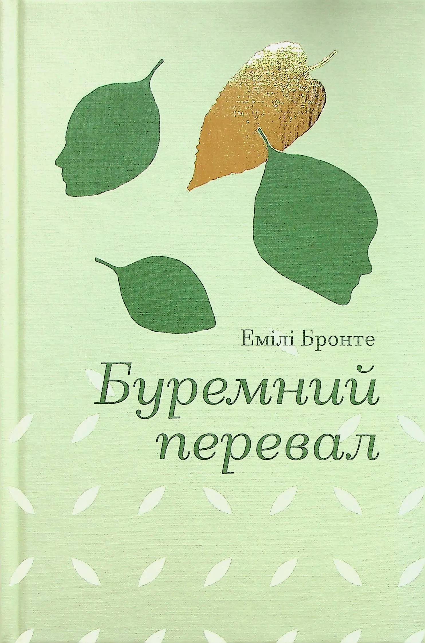 Буремний перевал / фото Yakaboo