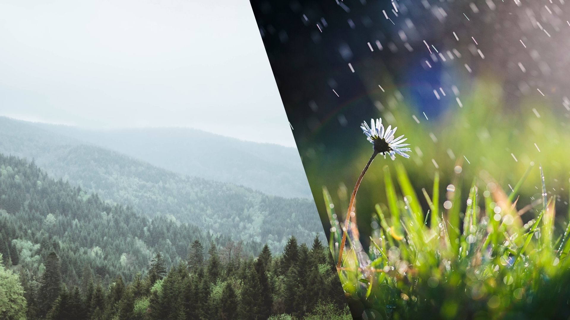 Прогноз погоди на 18 квітня - 24 Канал