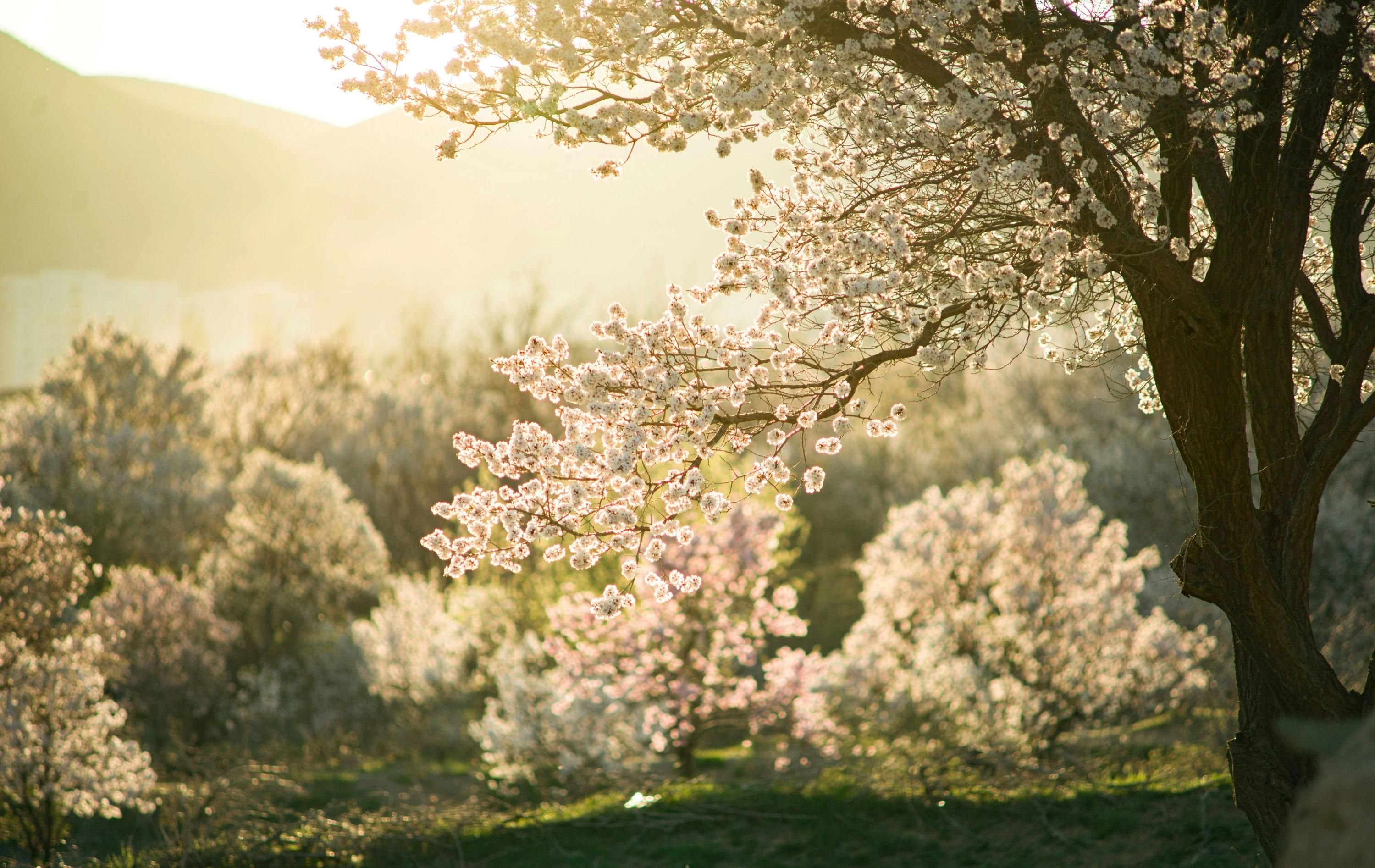 Прогноз погоди в Україні на вихідні