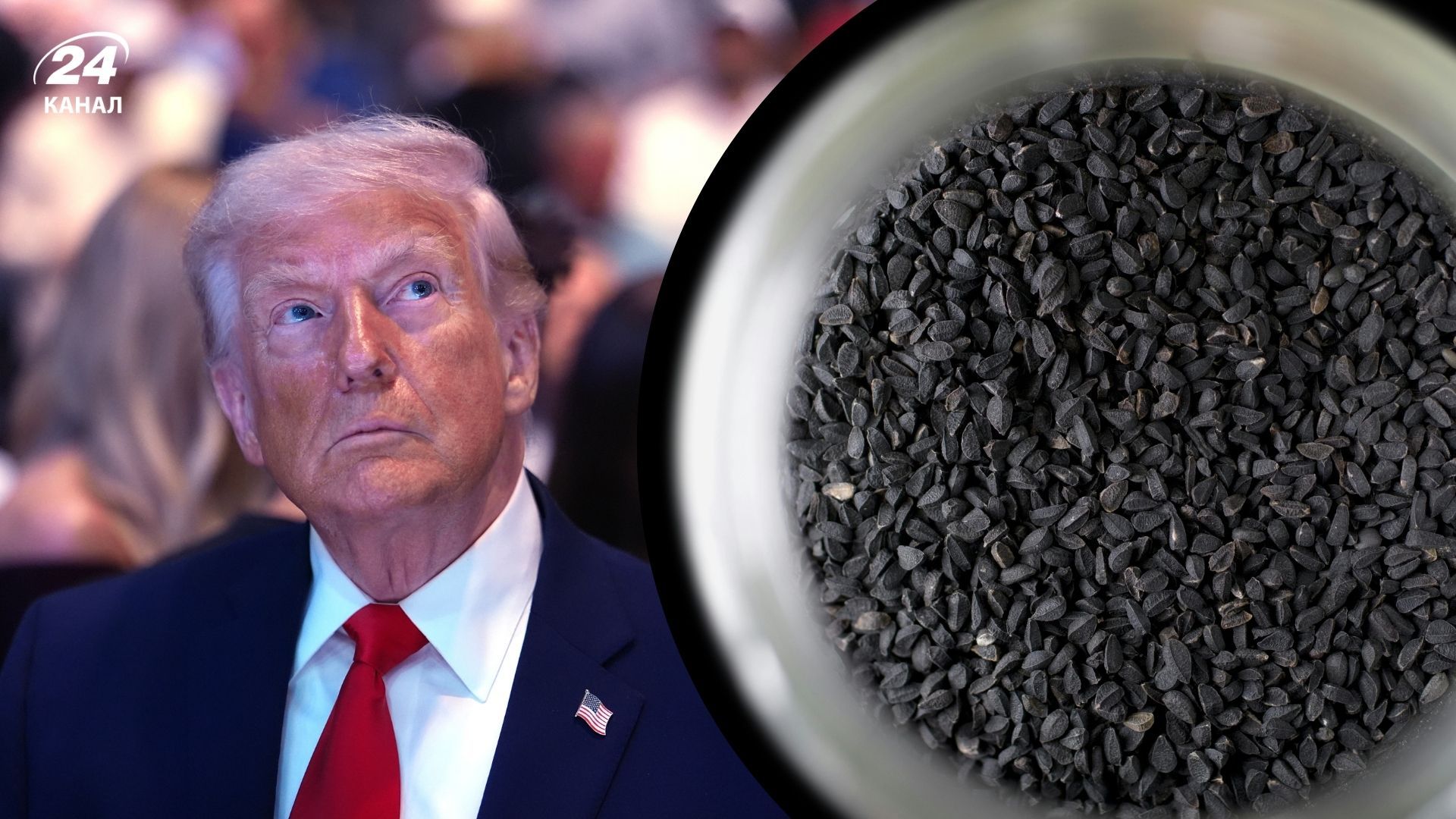 Іран може зупинити ядерну програму