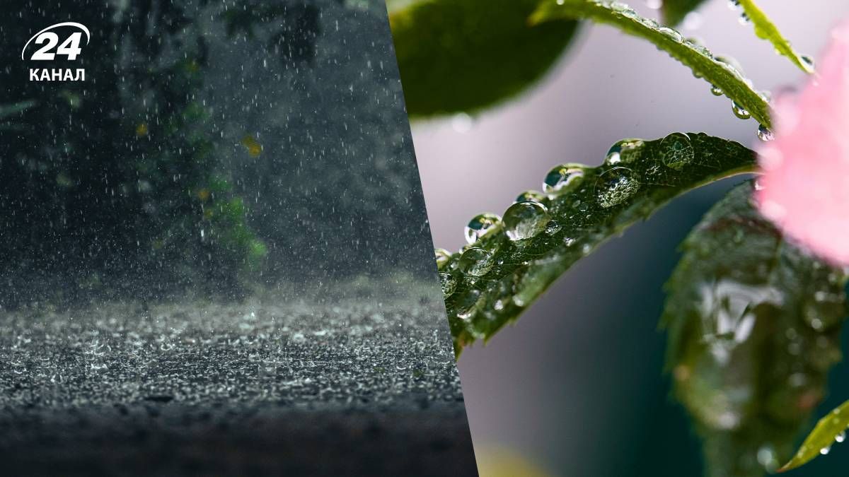 Погода зіпсується найближчими днями