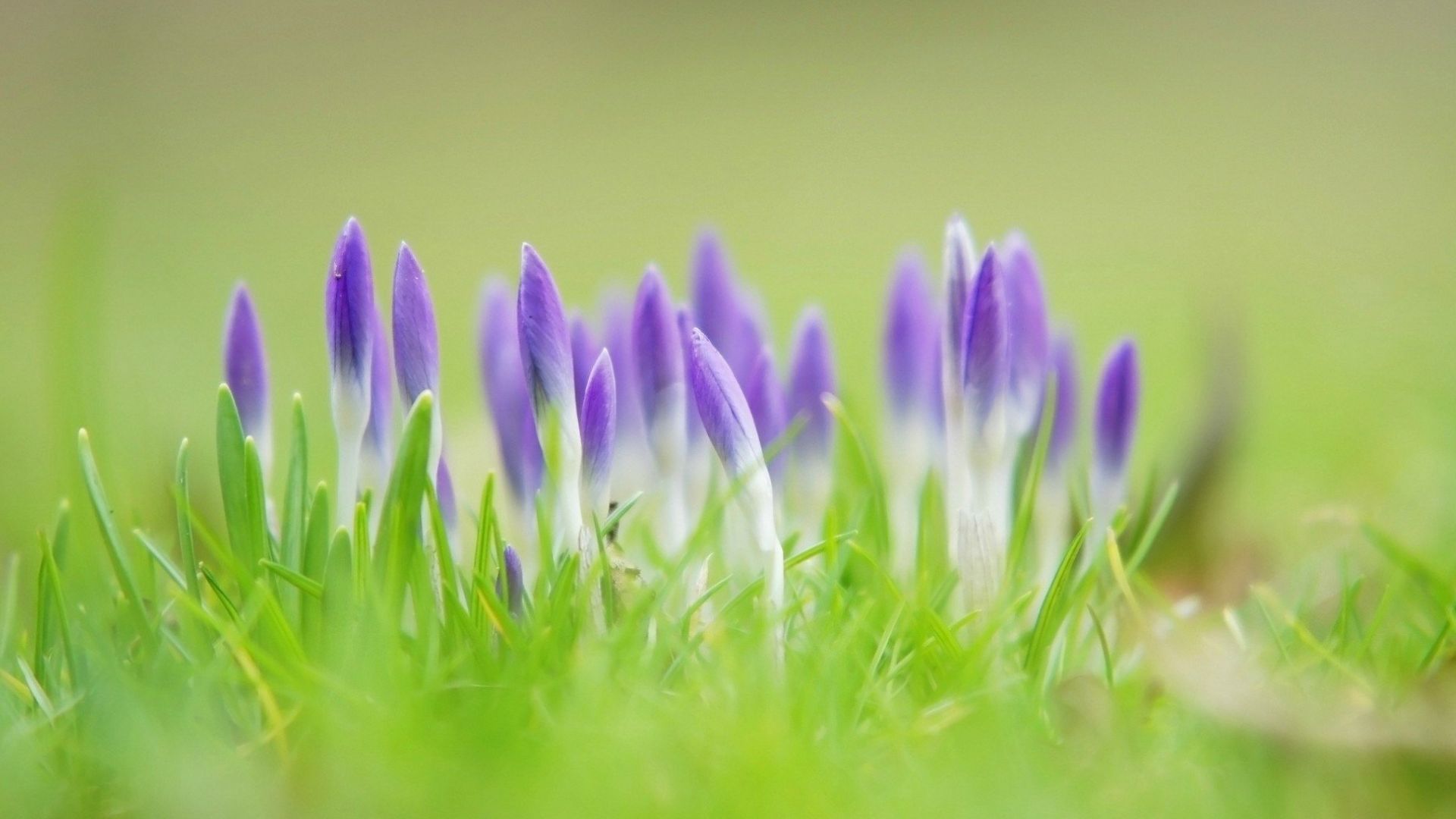 Погода на 19 квітня