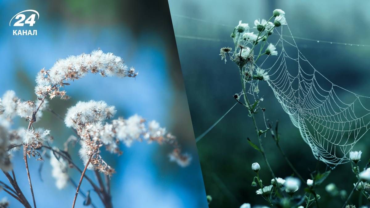 Холод в Україні