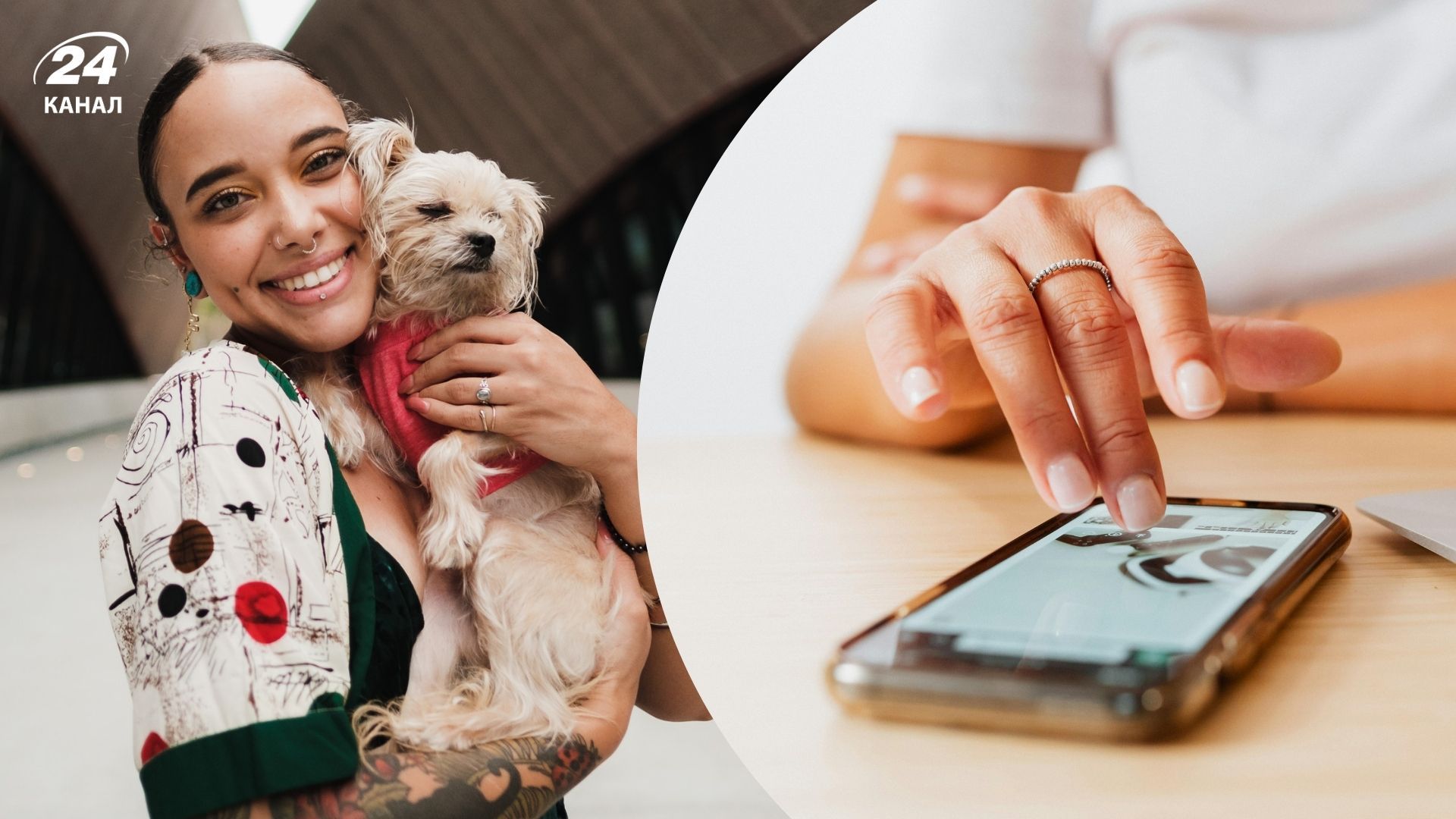 Как работает PetCare Family