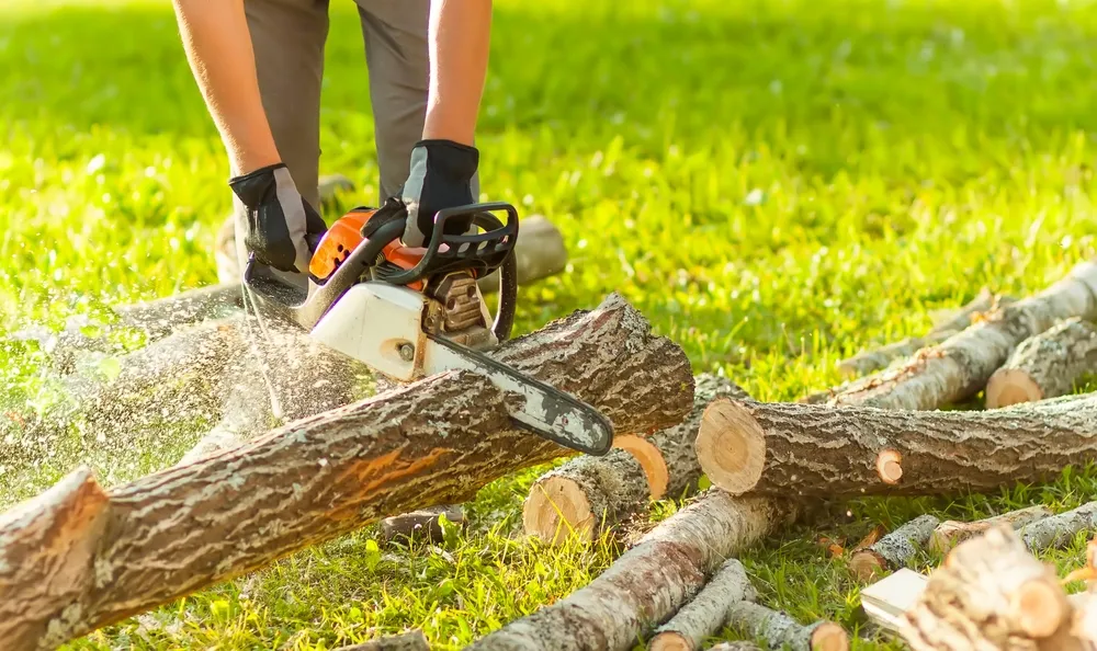 Эти инструменты необходимы для работы в саду / Фото Shutterstock