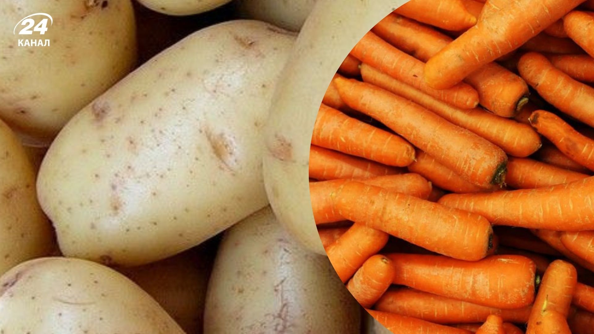 Апрель - отличное время для посева в открытый грунт Апрель - отличное время для посева в открытый грунт