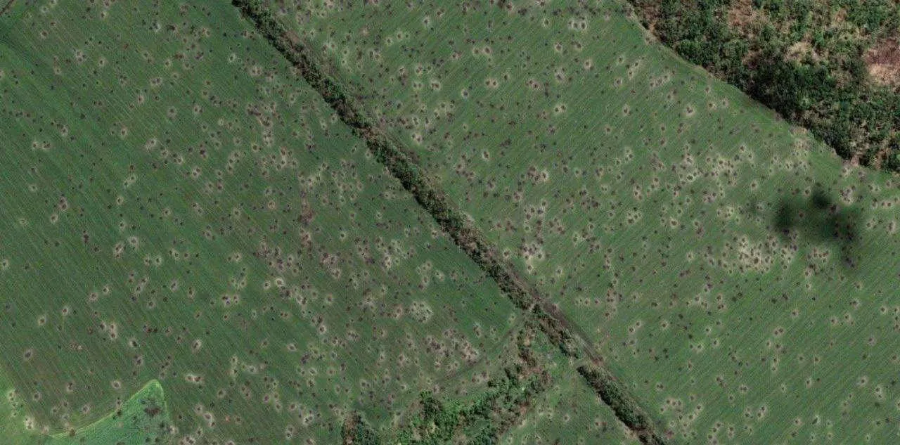 Земля біля Ізюма