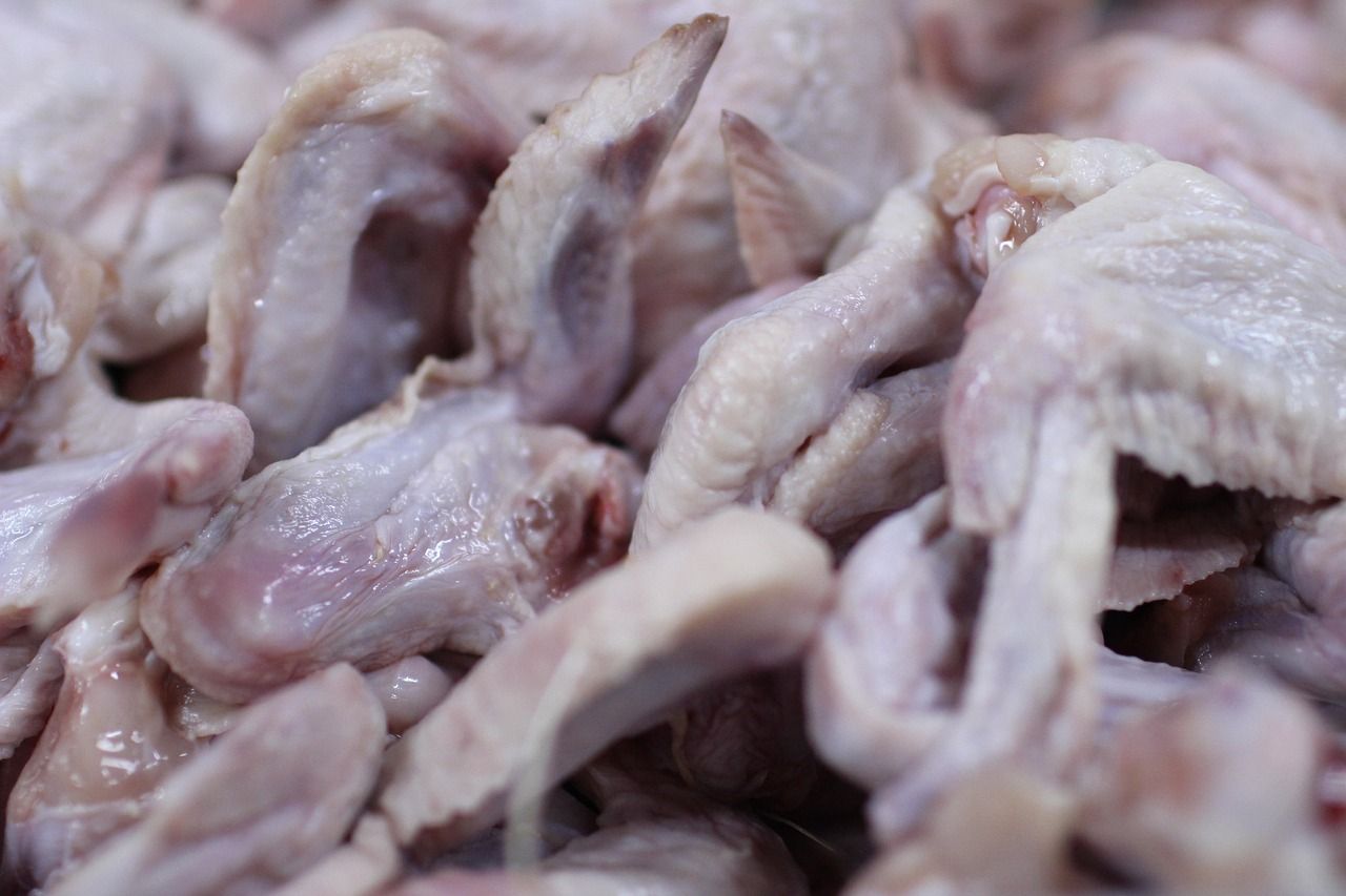 Курица с сальмонеллой