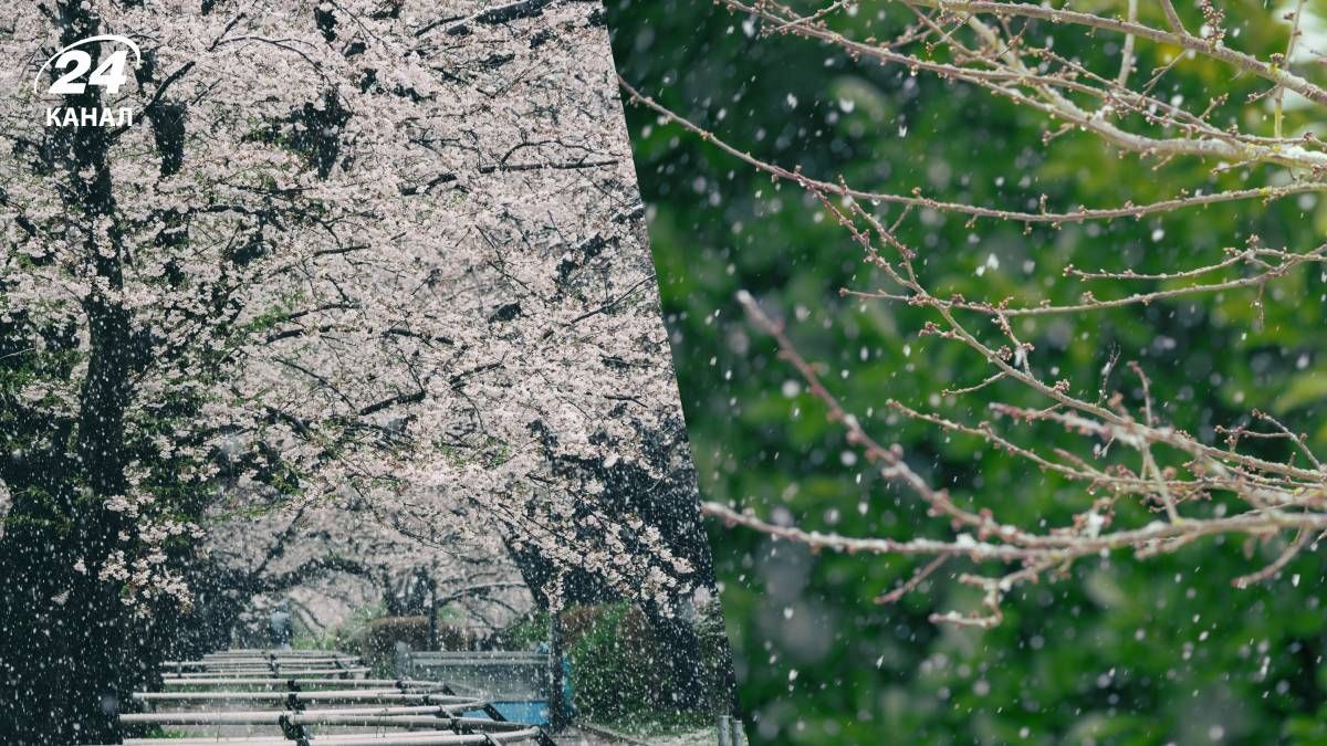 Непогода в Украине Непогода в Украине