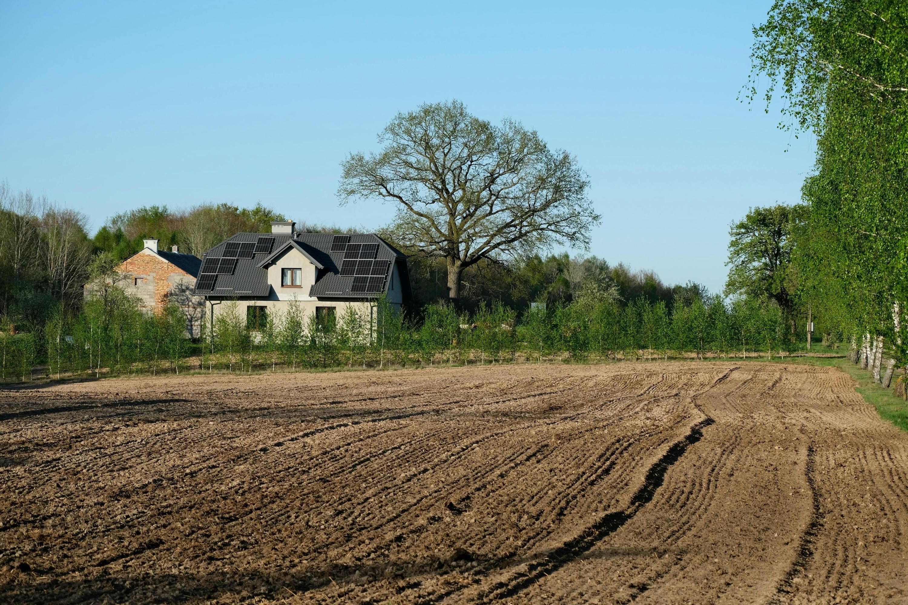 Як перевірити земельну ділянку перед купівлею - Агро 24