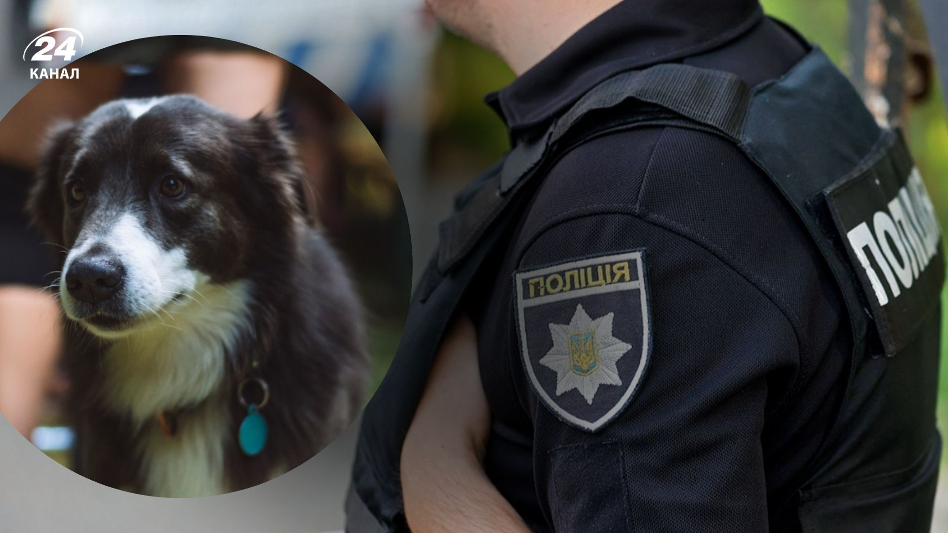 Чоловік намався відлякати собак пострілом 