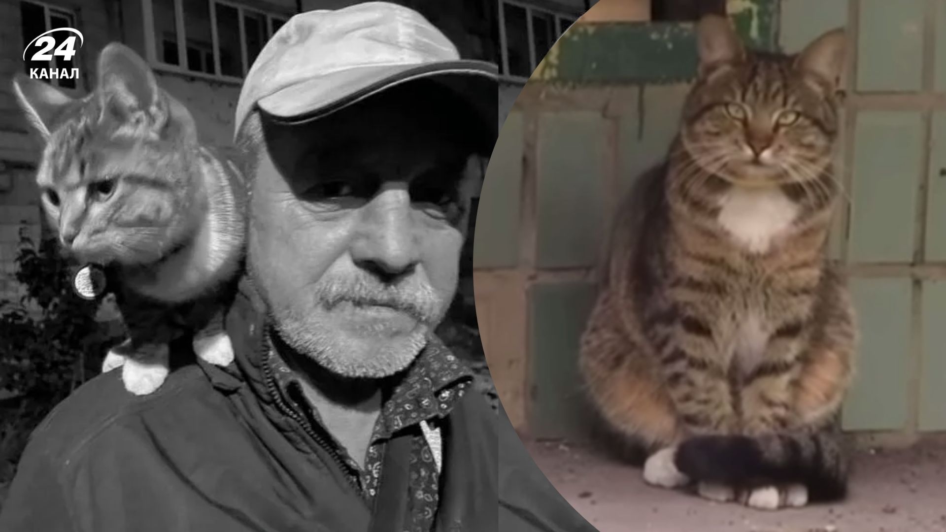 Его хозяин погиб от рук террориста в Киеве: что известно о котике Дворике дяди Саши - Киев Его хозяин погиб от рук террориста в Киеве: что известно о котике Дворике дяди Саши - Киев