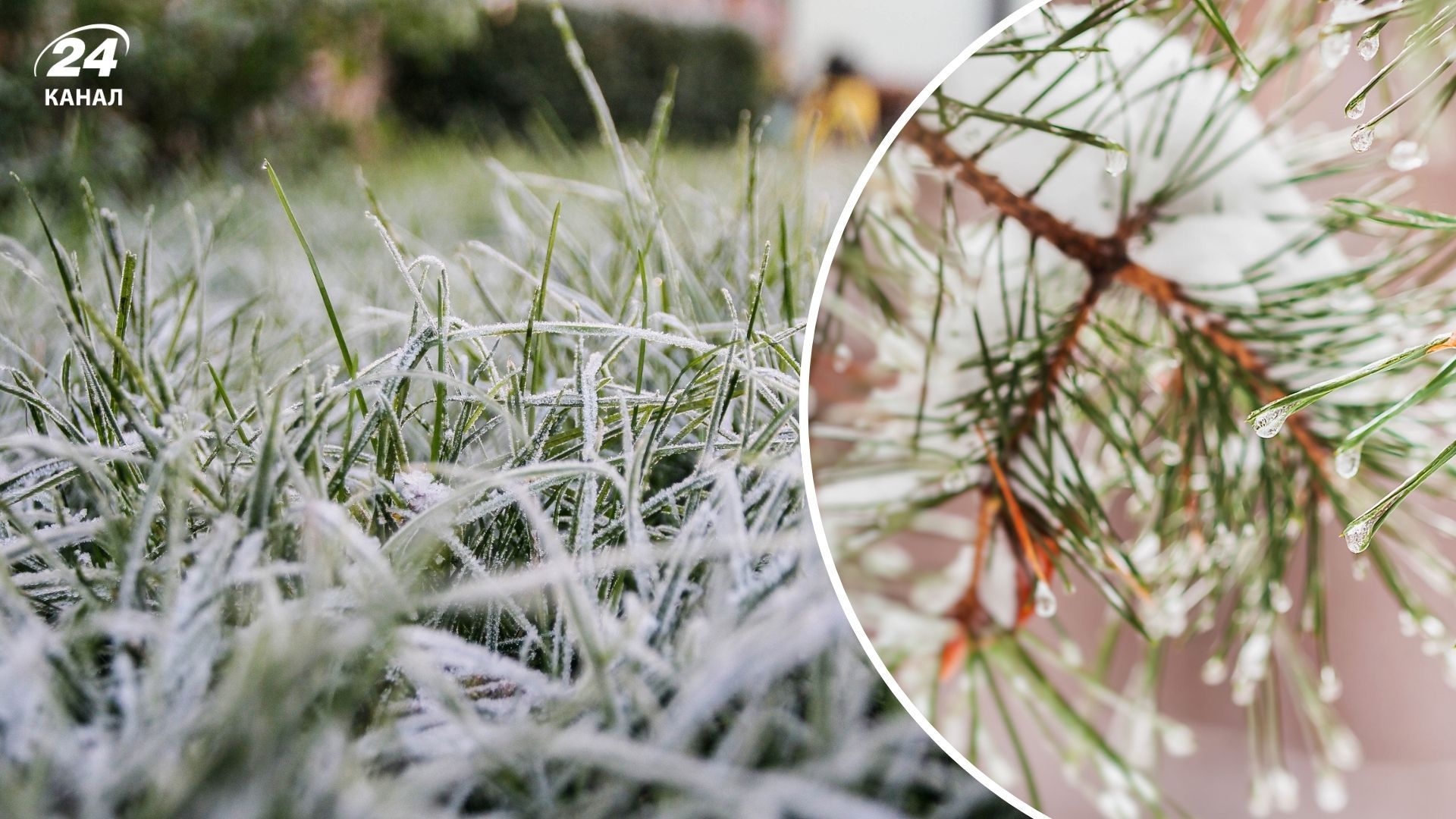 У низці областей України прогнозують заморозки