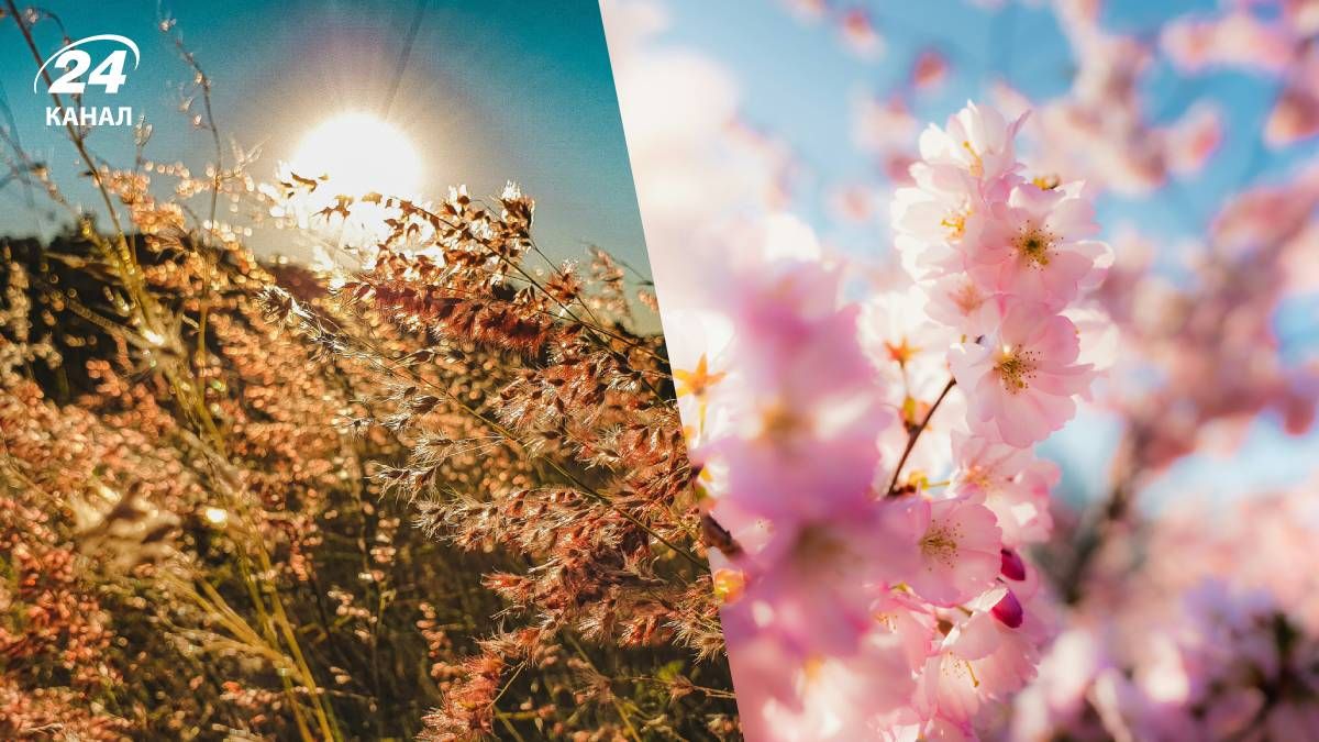 Прогноз погоды на начало мая Прогноз погоды на начало мая