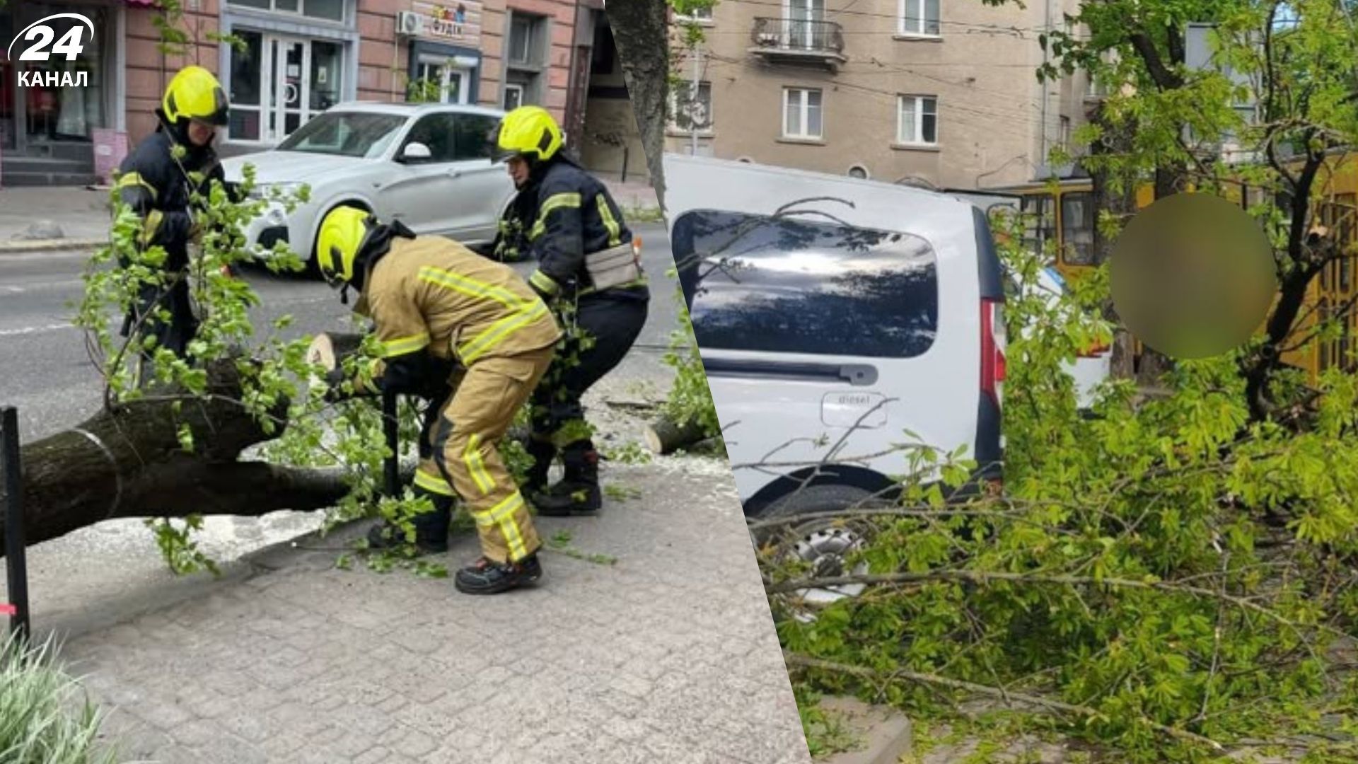 Буревій пронісся Заходом України: дерева виривало з корінням, є проблеми зі світлом - 24 Канал