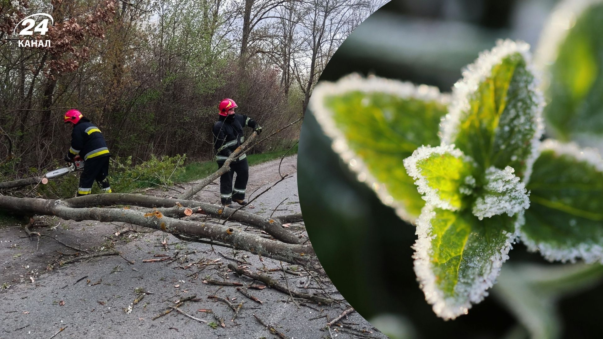 Понеділок буде холодним і вітряним Понеділок буде холодним і вітряним