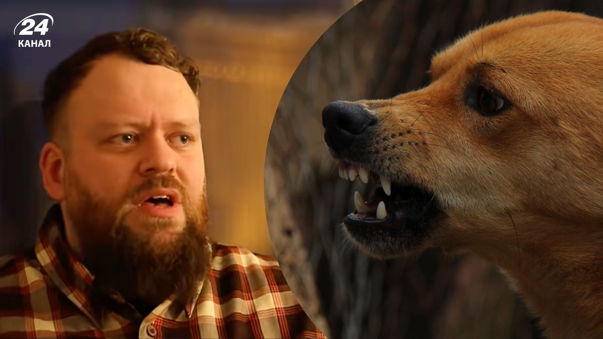 Кінолог із Британії пояснив, що робить собаку небезпечною