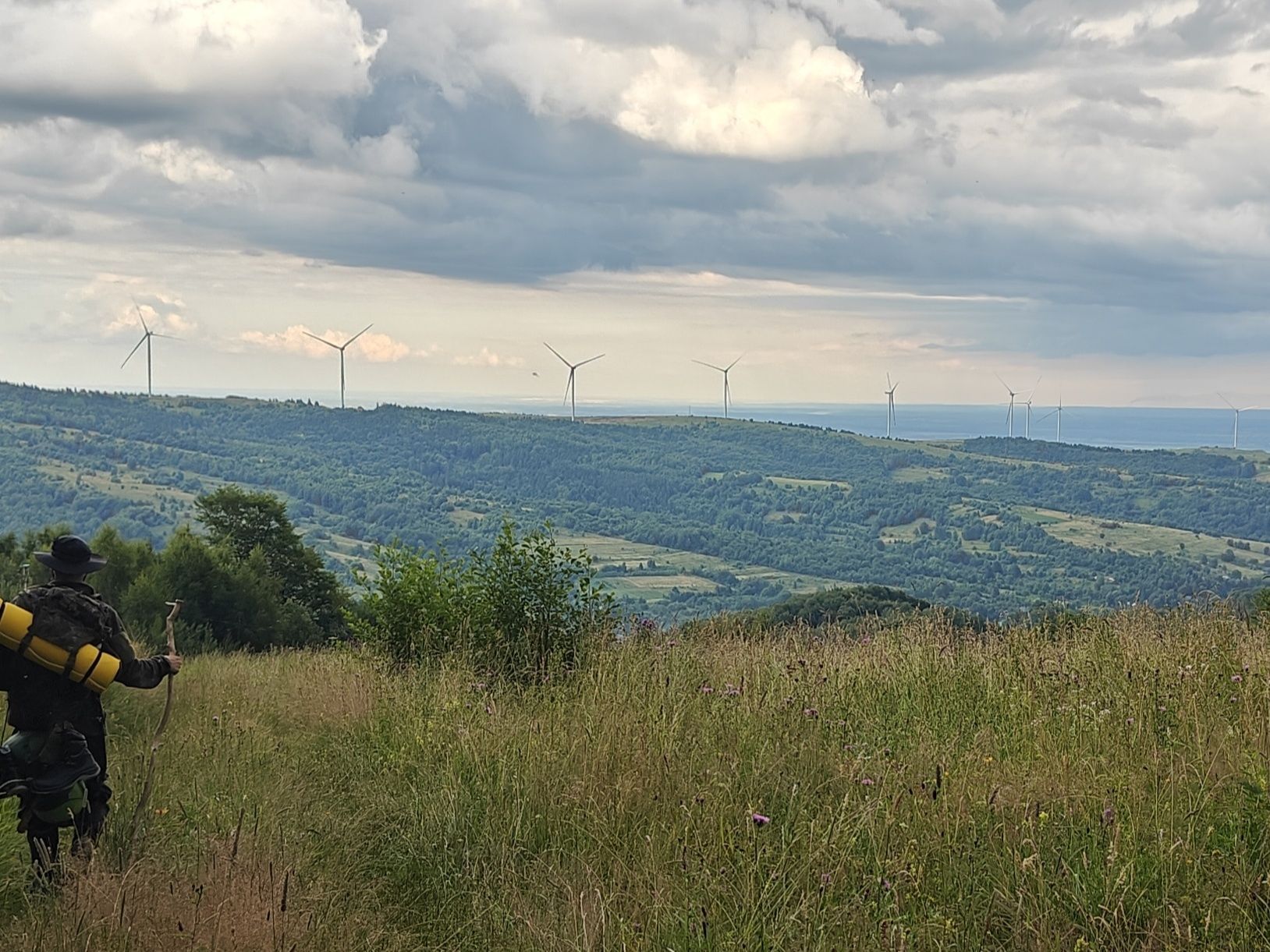 Її зареєстрували лише з п'ятої спроби: президент зрештою відповів на петицію щодо захисту Карпат - 24 Канал