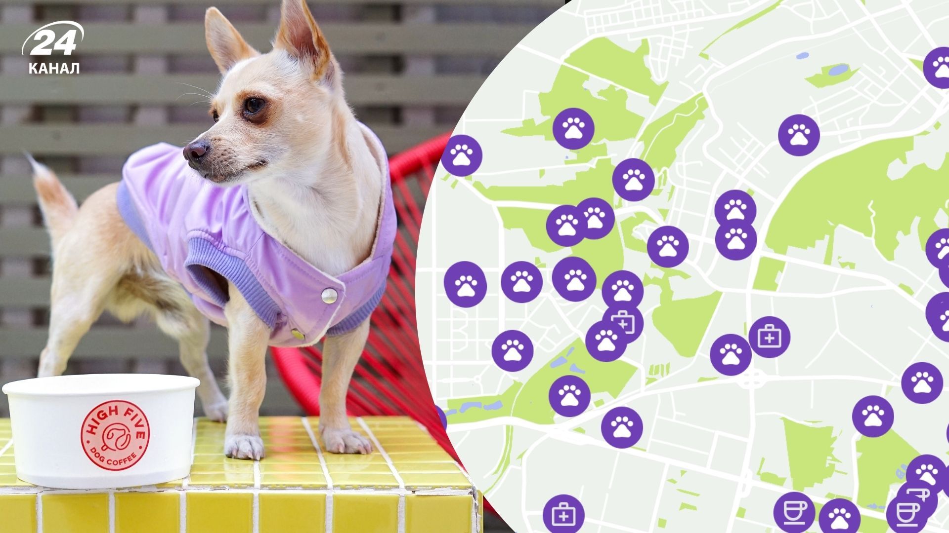 У Києві зібрали сотні локацій для собак і їхніх власників