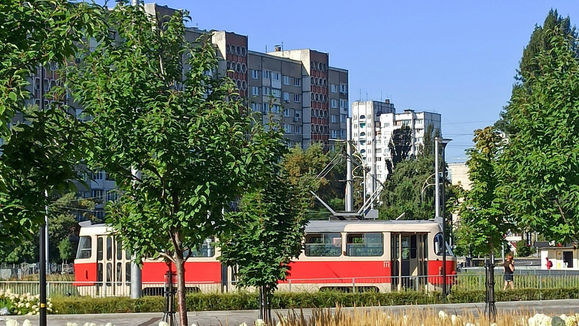 Большие дворы в СССР не были случайностью