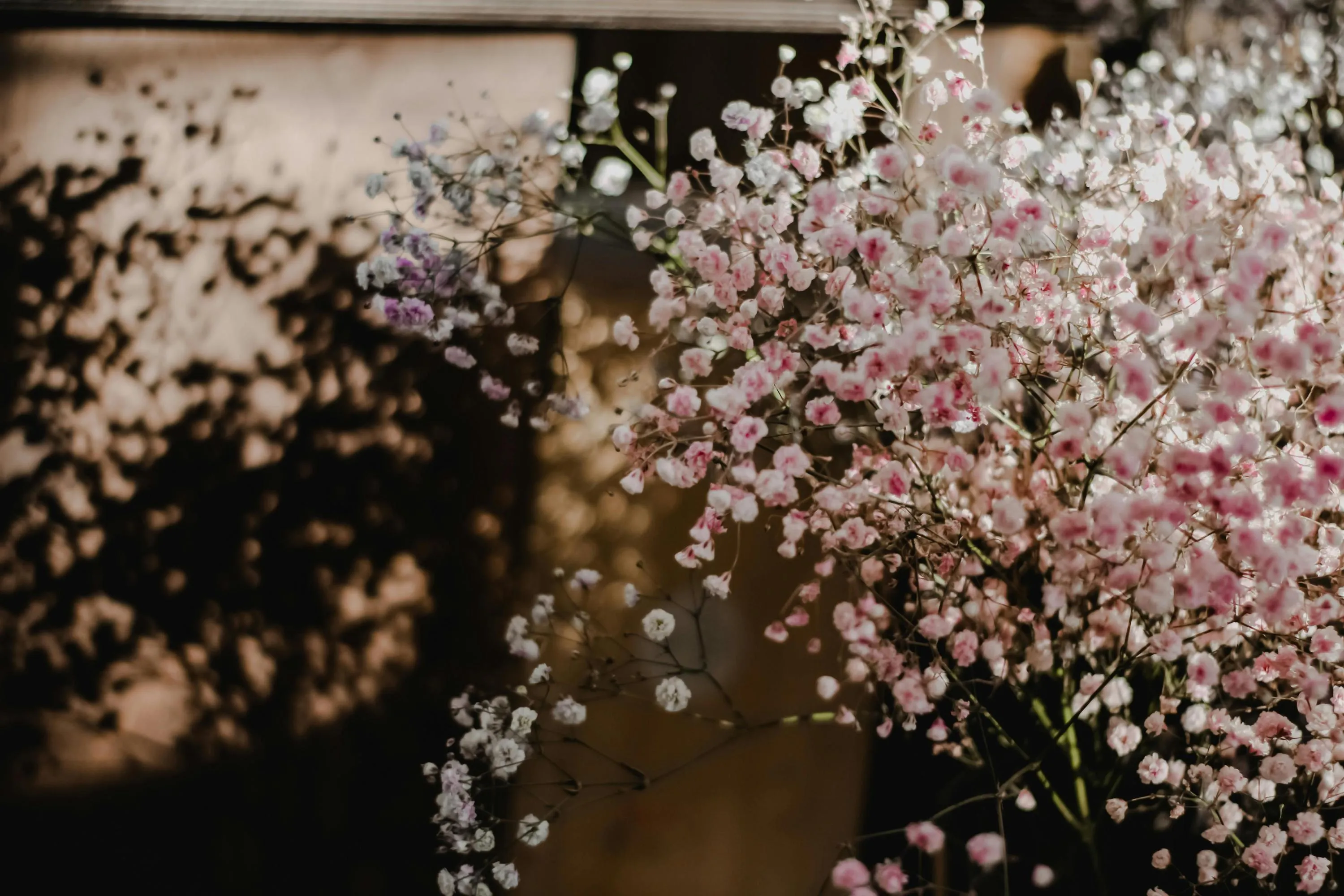 Є особливий сорт гіпсофіли рожевої / Фото Pexels