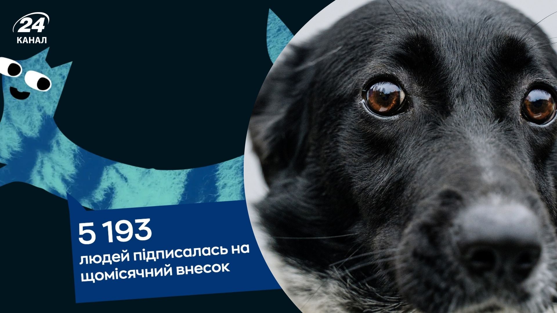 В Україні почав діяти "Клуб рятівників тварин" В Україні почав діяти "Клуб рятівників тварин"