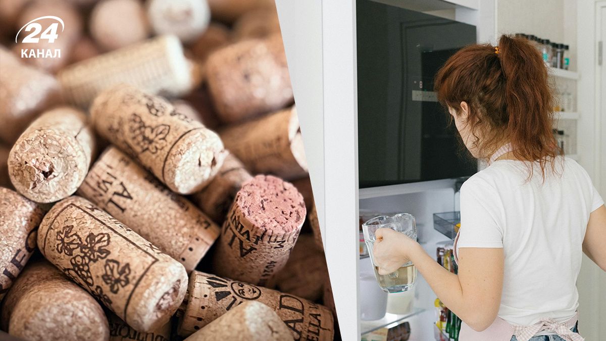 Як працює винний корок у холодильнику - цікава хитрість Як працює винний корок у холодильнику - цікава хитрість