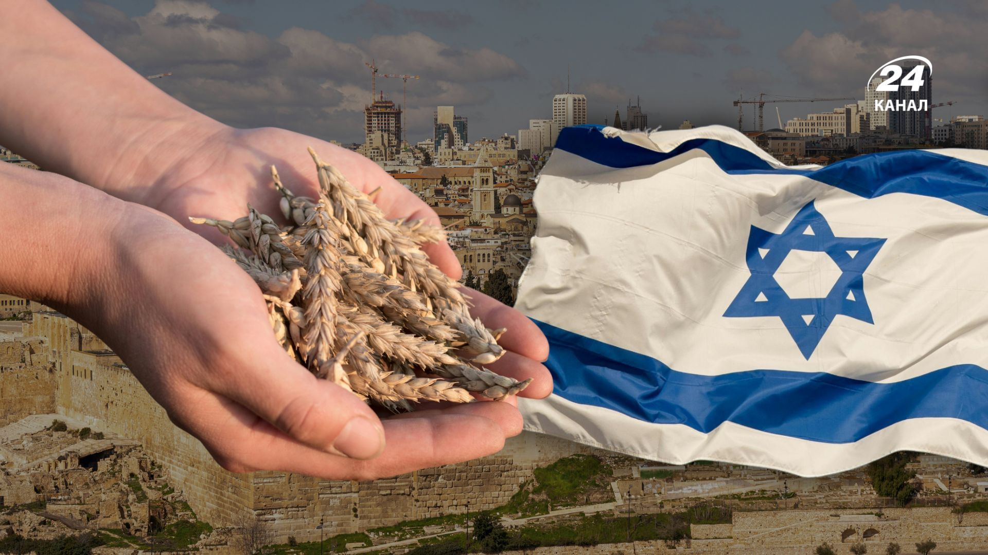 Какие страны покупали краденое украинское зерно Какие страны покупали краденое украинское зерно