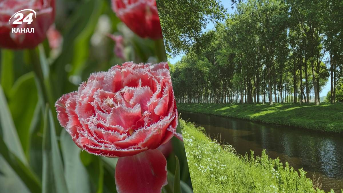 Погода на найближчі дні в Україні