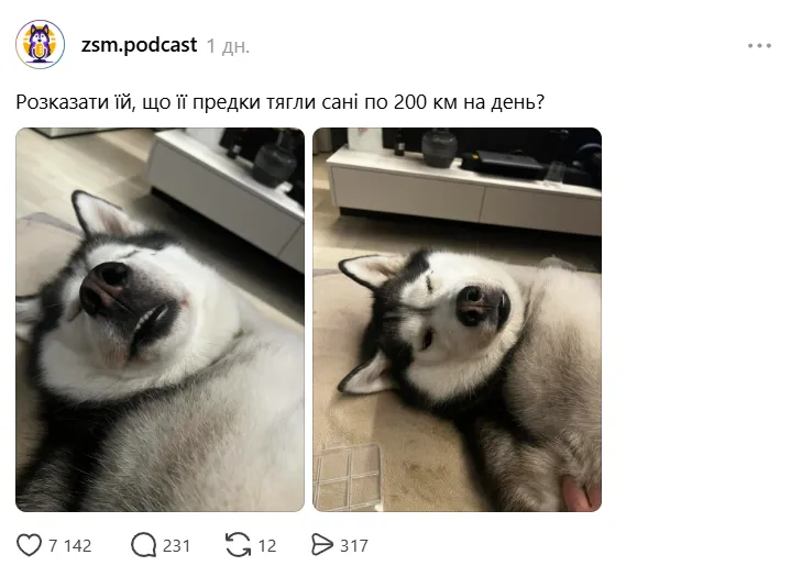 Хаскі Хаскі
