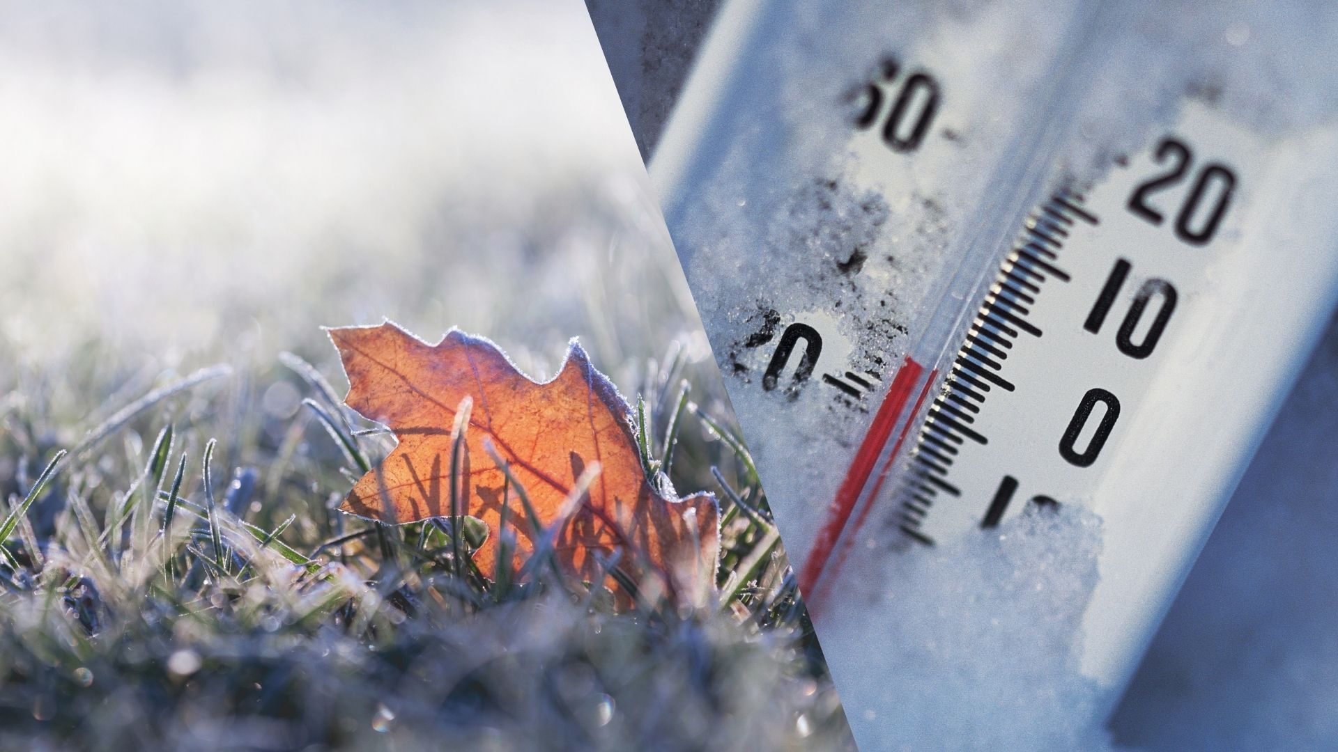 В одной из областей Запада прогнозируют очень сильные заморозки - 24 Канал