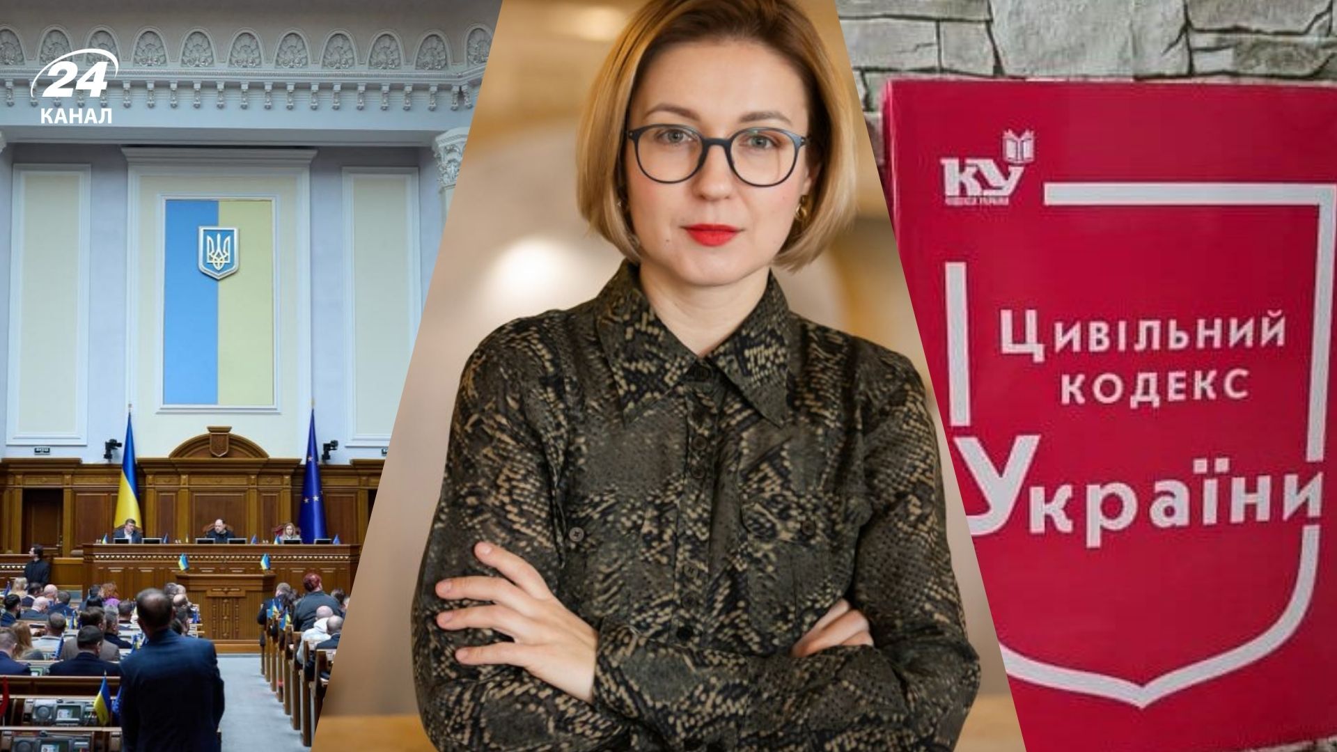 Інна Совсун розповіла про проблеми в проєкті Цивільного кодексу Інна Совсун розповіла про проблеми в проєкті Цивільного кодексу