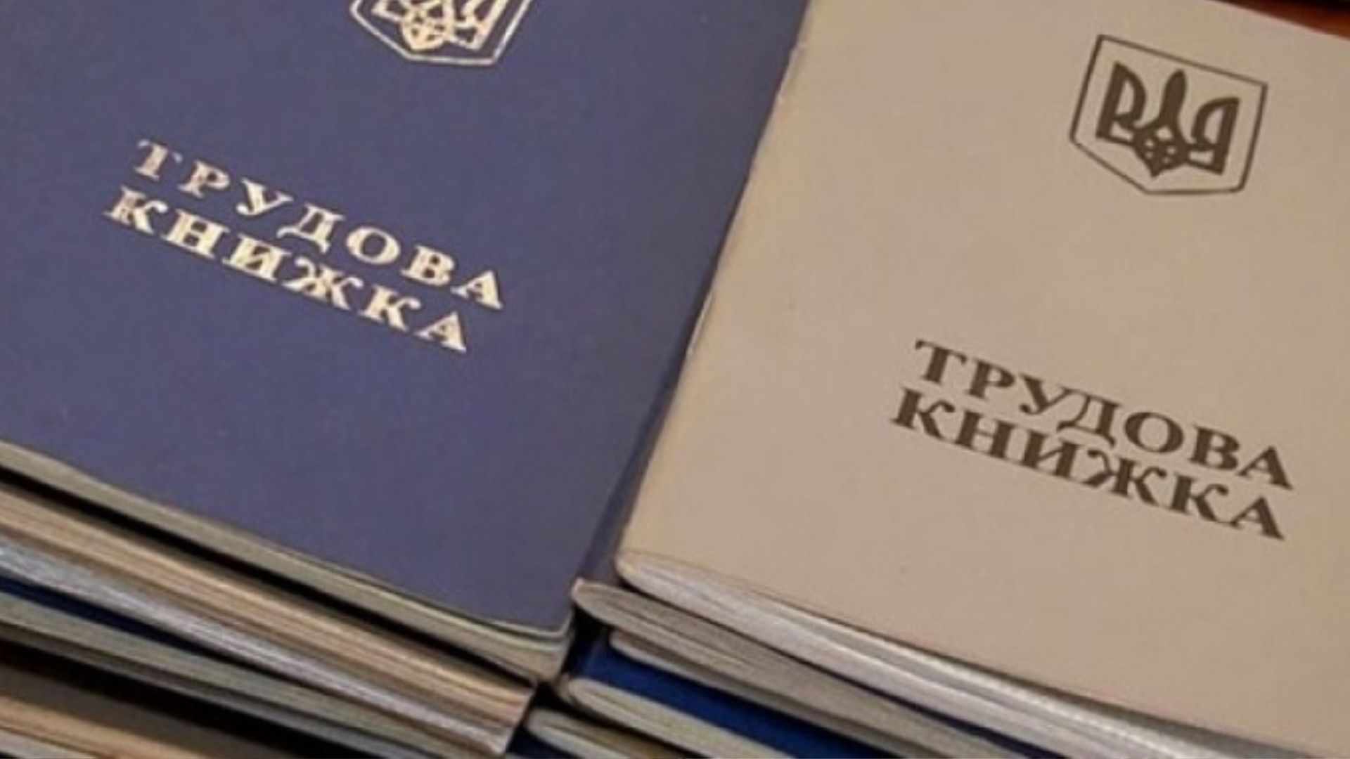 Оцифровка трудовой книжки