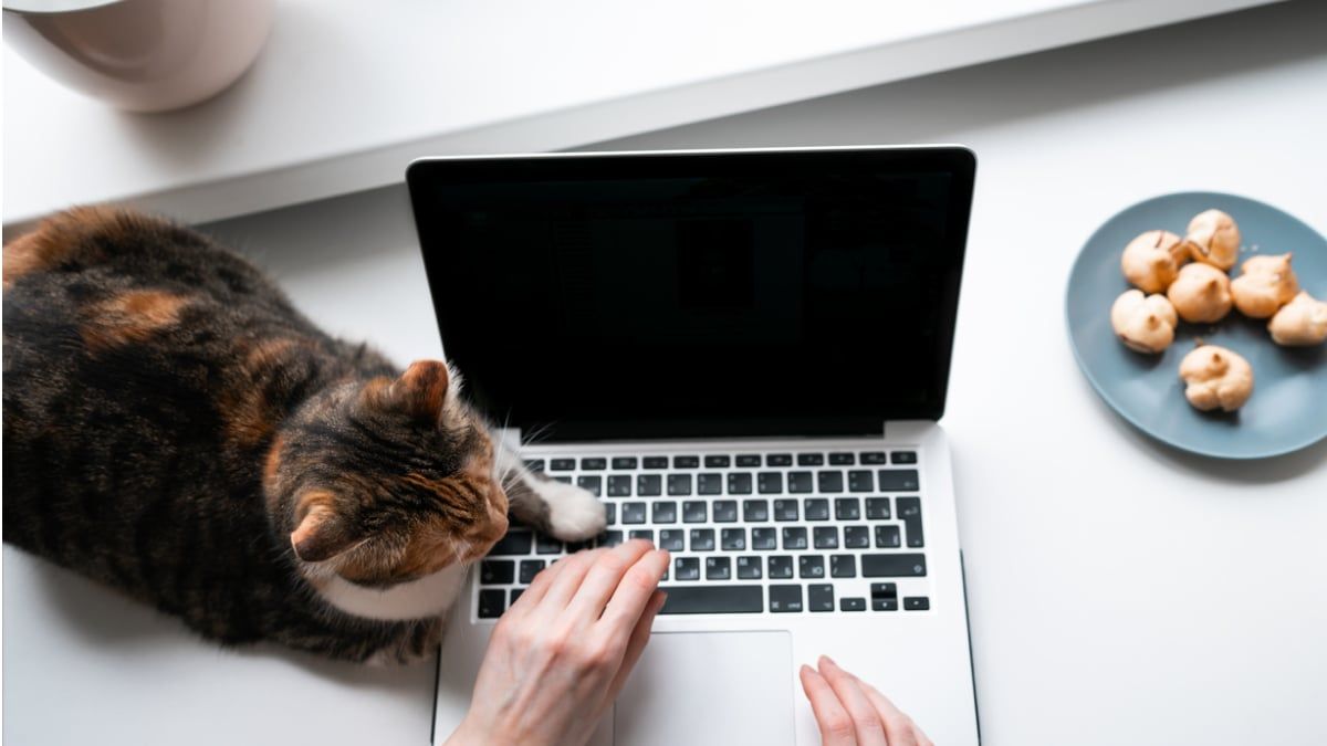 Удаленная работа для украинцев с зарплатой до 90 тысяч