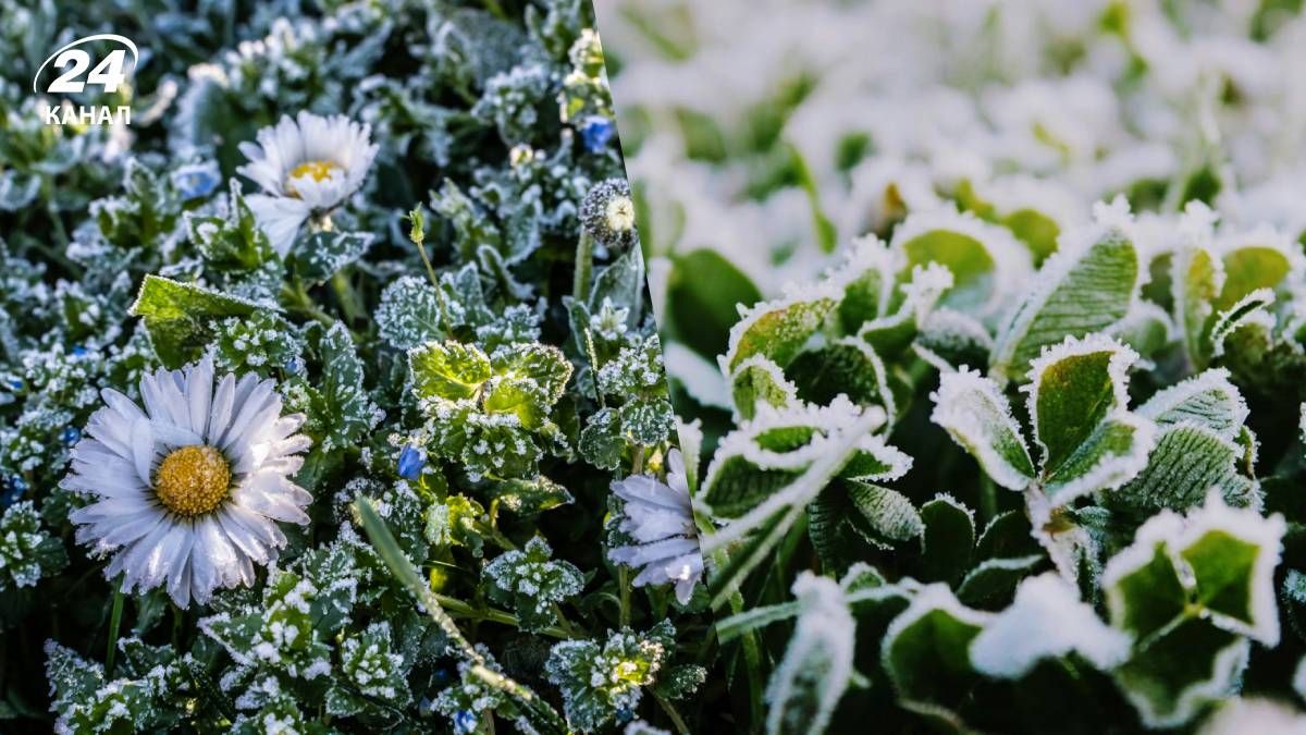Заморозки в Україні найближчими днями