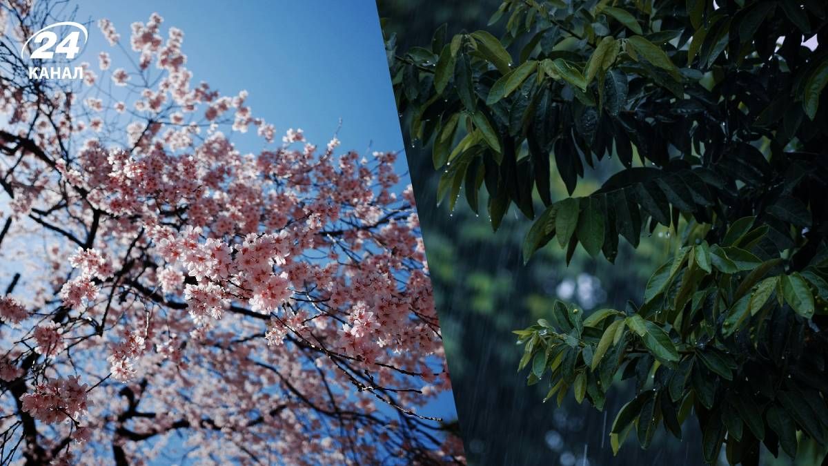 Прогноз погоды в Украине на 1 мая 2026 года