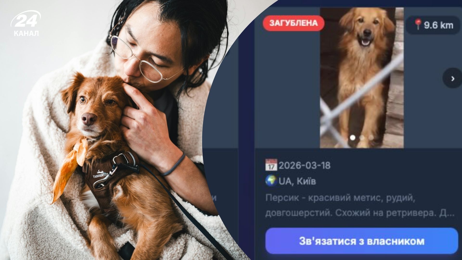 В Україні запустили нову платформу з пошуку тварин В Україні запустили нову платформу з пошуку тварин